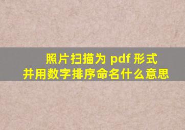 照片扫描为 pdf 形式并用数字排序命名什么意思